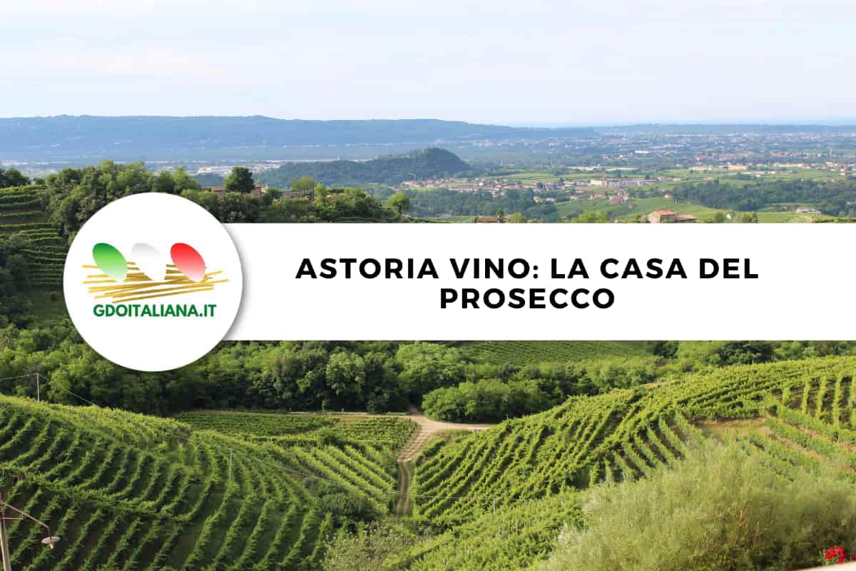 astoria-vino-prezzi